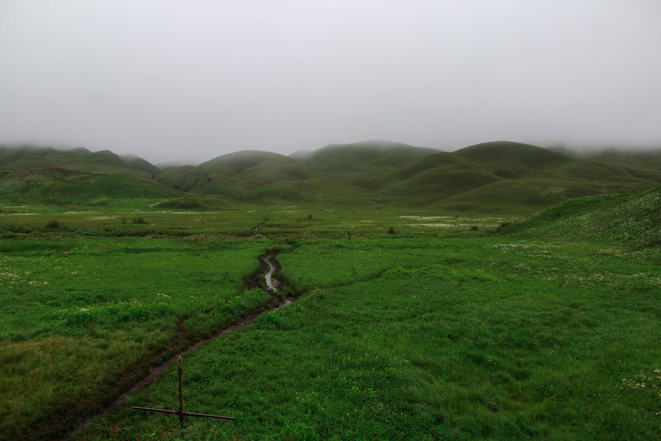 Photo of Monsoon Dzukou in just 4800 INR !Weekend Getaway in NorthEast India. by Chiranjeeb Sonowal