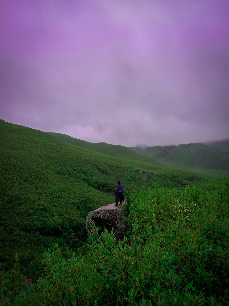 Photo of Monsoon Dzukou in just 4800 INR !Weekend Getaway in NorthEast India. by Chiranjeeb Sonowal