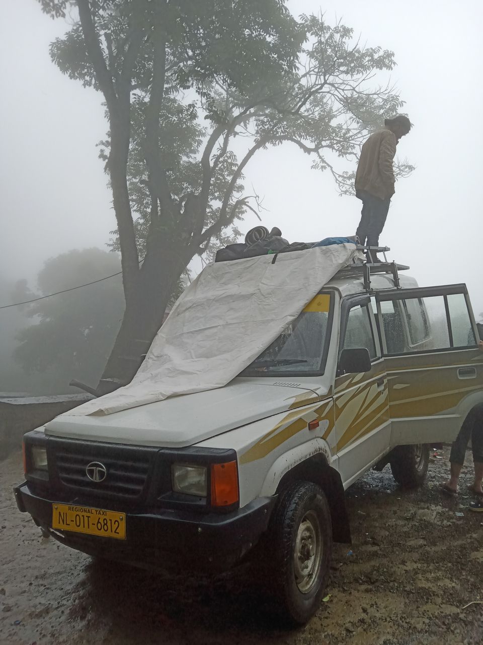 Photo of Monsoon Dzukou in just 4800 INR !Weekend Getaway in NorthEast India. by Chiranjeeb Sonowal