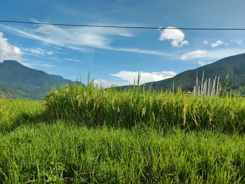Photo of Mountains,Roads and The Kingdom of Bhutan by Rohan Ganesh