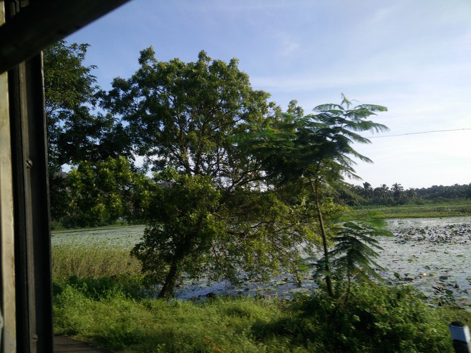 Photo of My Backpacking Diary – Chapter 1 (South-east Tamil Nadu) 8/30 by Rohan Ganesh