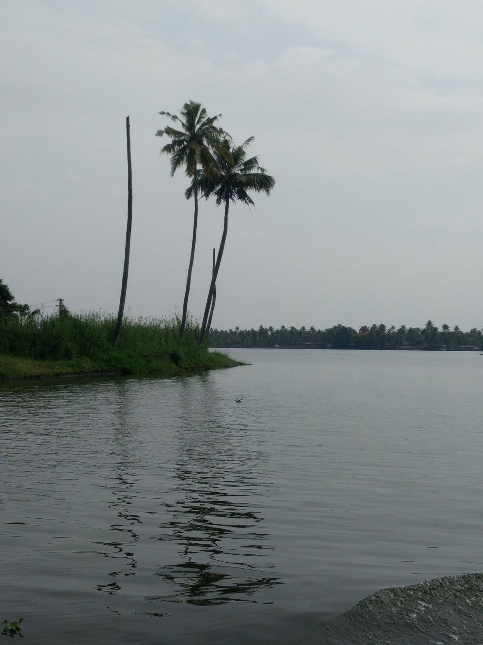 Photo of My Backpacking Diary – Chapter 2(Backwaters and Beaches-West Kerala) 5/58 by Rohan Ganesh