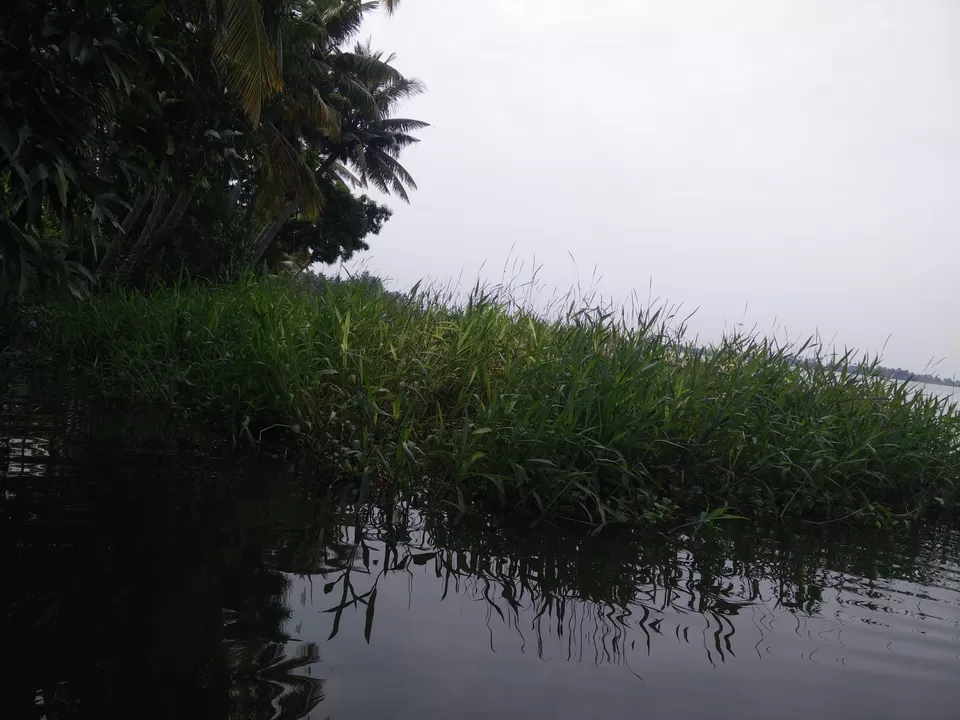 Photo of Bangalore, Karnataka, India by Rohan Ganesh