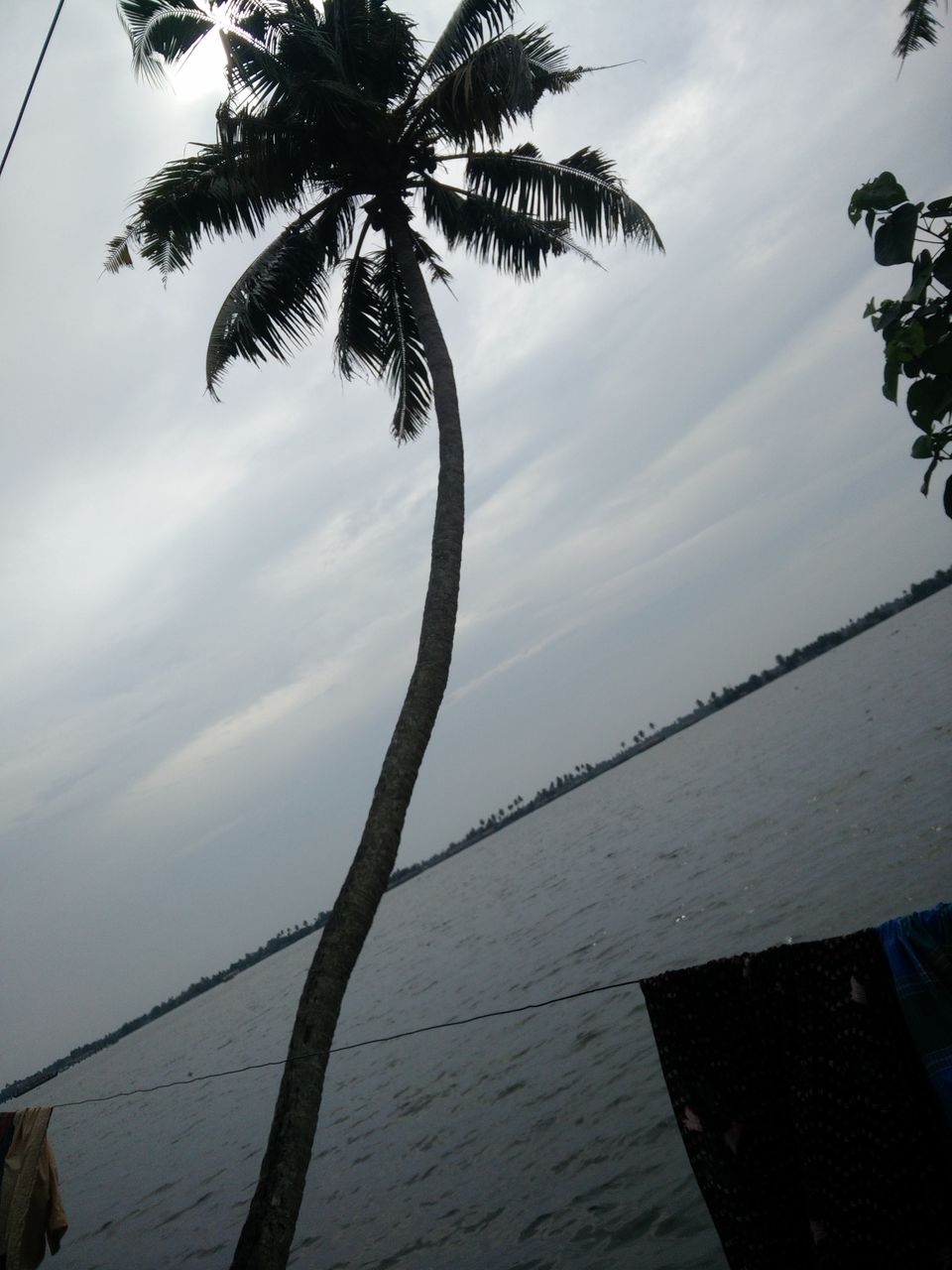 Photo of My Backpacking Diary – Chapter 2(Backwaters and Beaches-West Kerala) 11/58 by Rohan Ganesh