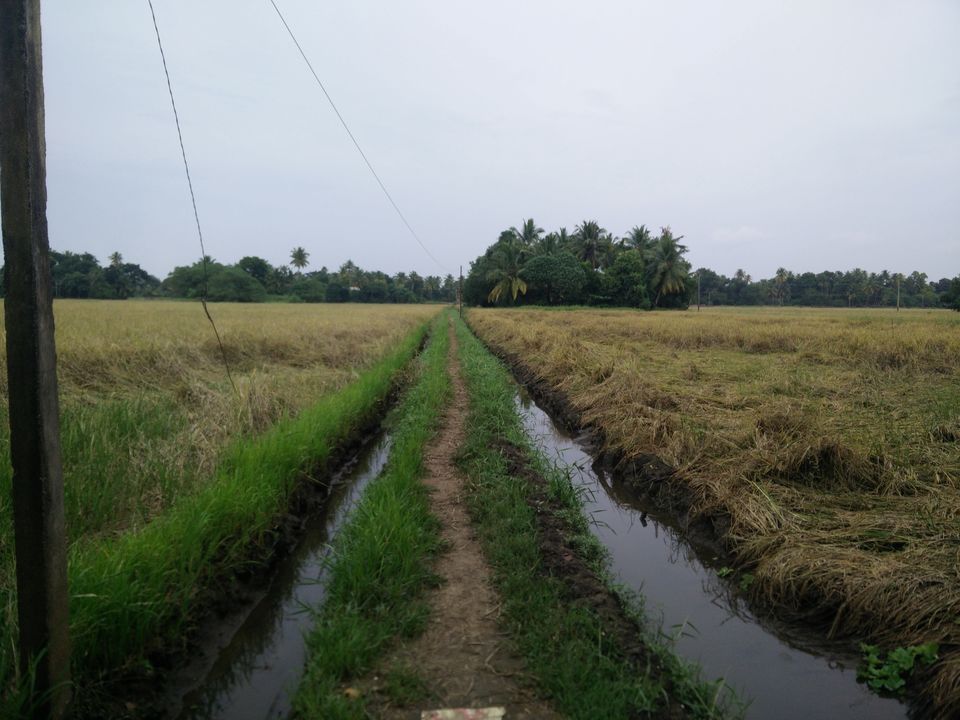 Photo of My Backpacking Diary – Chapter 2(Backwaters and Beaches-West Kerala) 12/58 by Rohan Ganesh