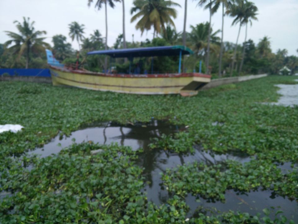 Photo of My Backpacking Diary – Chapter 2(Backwaters and Beaches-West Kerala) 17/58 by Rohan Ganesh