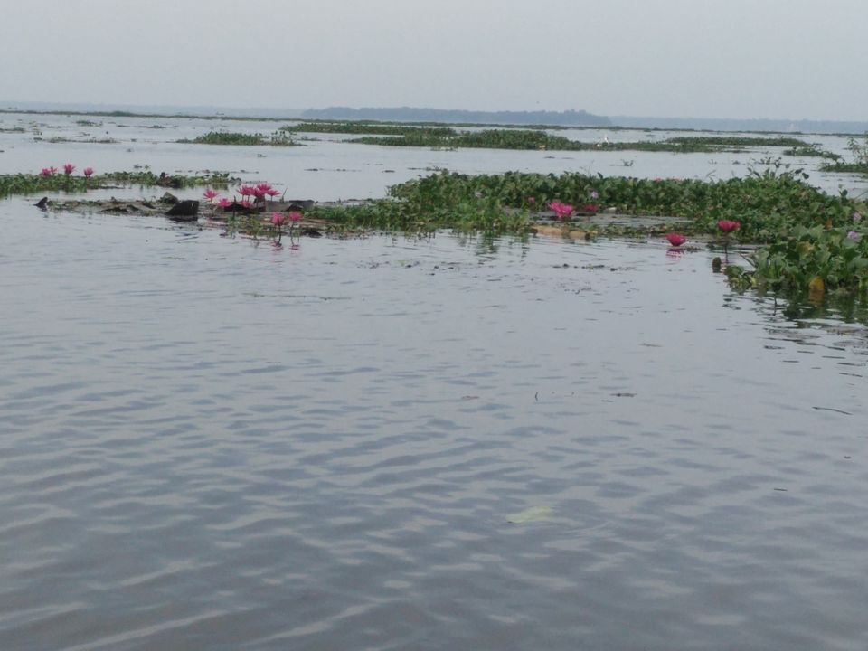 Photo of My Backpacking Diary – Chapter 2(Backwaters and Beaches-West Kerala) 22/58 by Rohan Ganesh