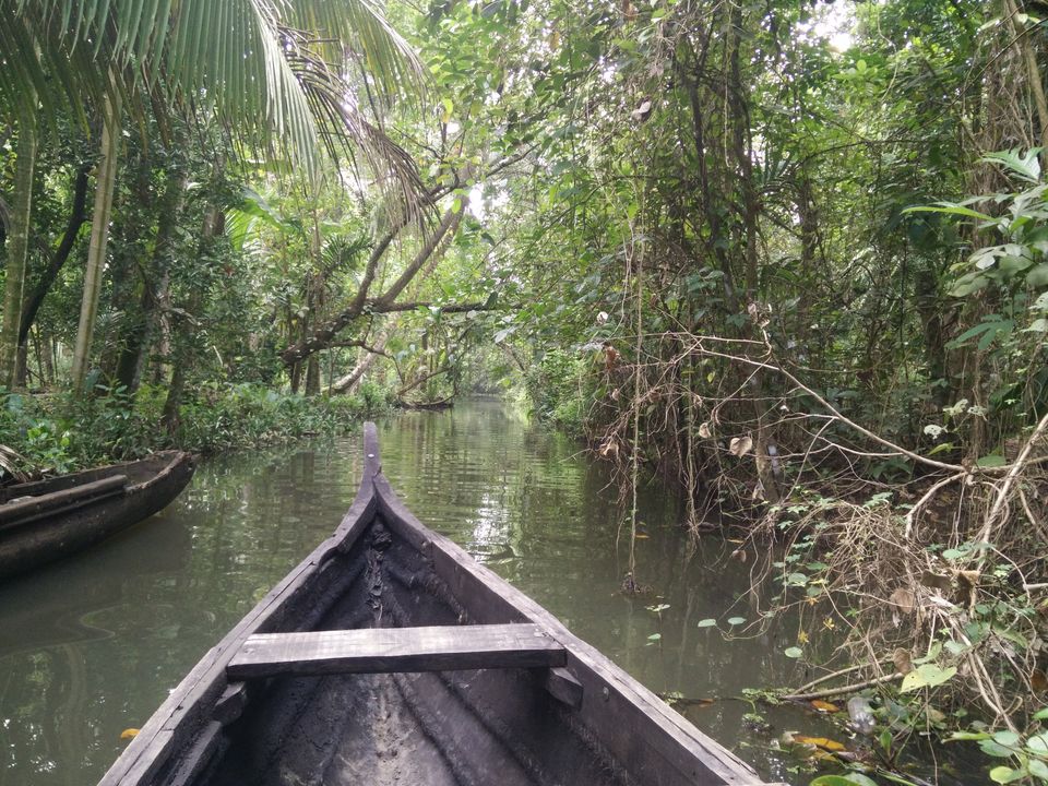 Photo of My Backpacking Diary – Chapter 2(Backwaters and Beaches-West Kerala) 23/58 by Rohan Ganesh