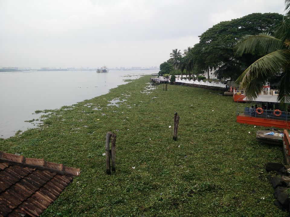 Photo of My Backpacking Diary – Chapter 2(Backwaters and Beaches-West Kerala) 29/58 by Rohan Ganesh