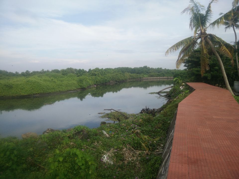 Photo of My Backpacking Diary – Chapter 2(Backwaters and Beaches-West Kerala) 40/58 by Rohan Ganesh