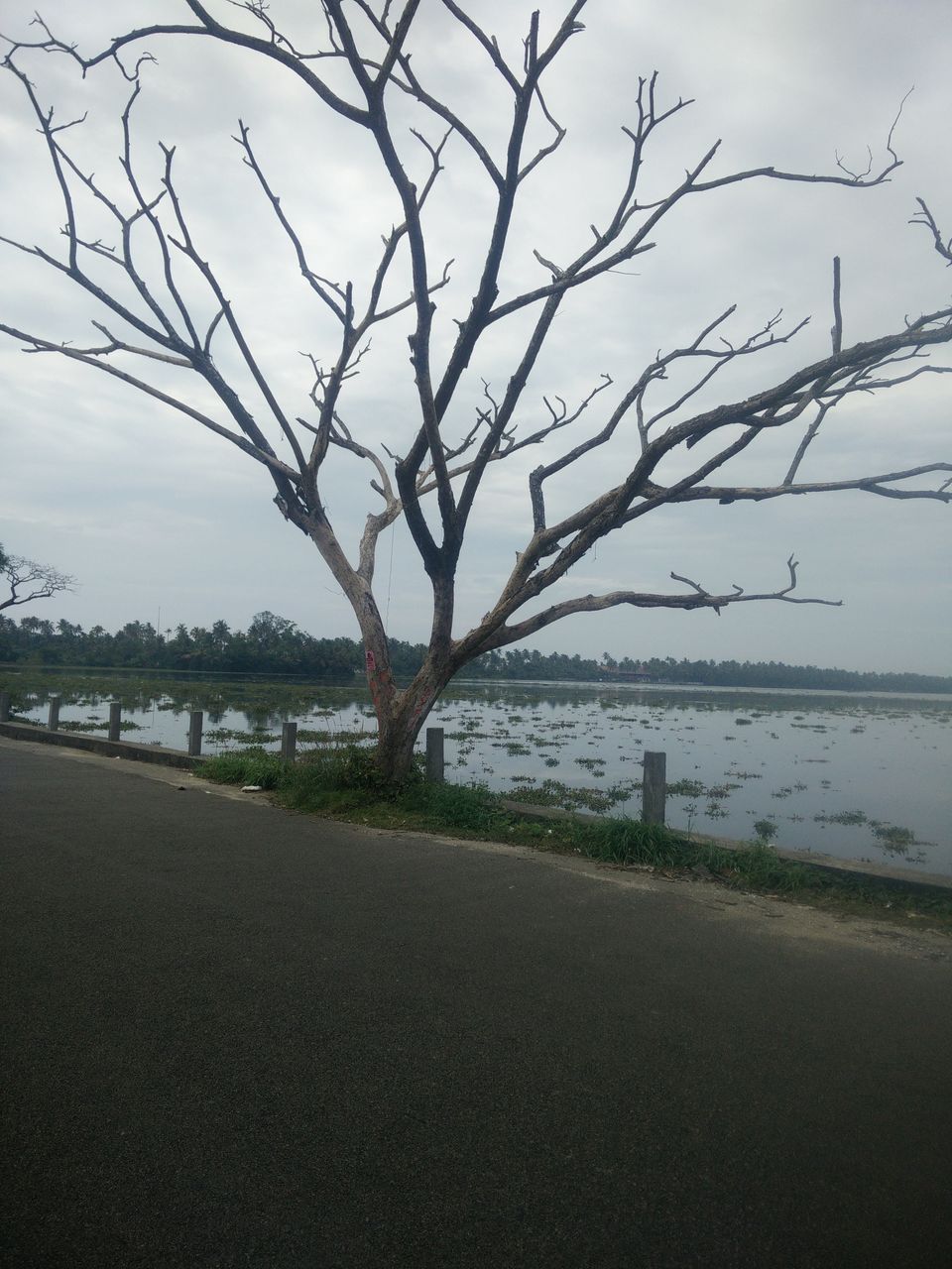 Photo of My Backpacking Diary – Chapter 2(Backwaters and Beaches-West Kerala) 43/58 by Rohan Ganesh