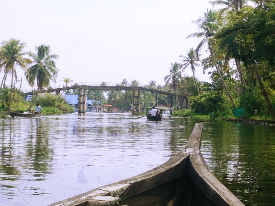 Photo of My Backpacking Diary – Chapter 2(Backwaters and Beaches-West Kerala) 48/58 by Rohan Ganesh
