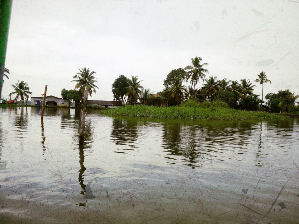 Photo of My Backpacking Diary – Chapter 2(Backwaters and Beaches-West Kerala) 49/58 by Rohan Ganesh