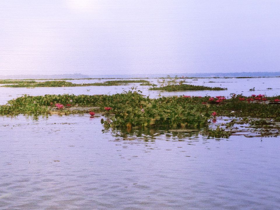 Photo of My Backpacking Diary – Chapter 2(Backwaters and Beaches-West Kerala) 52/58 by Rohan Ganesh
