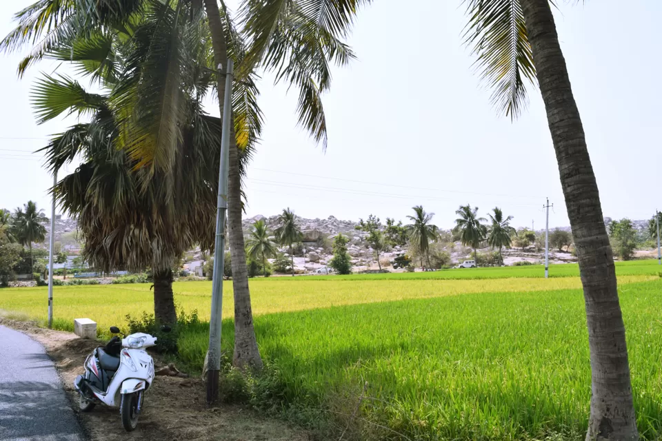 Photo of Anegundi, Karnataka, India by Rohan Ganesh