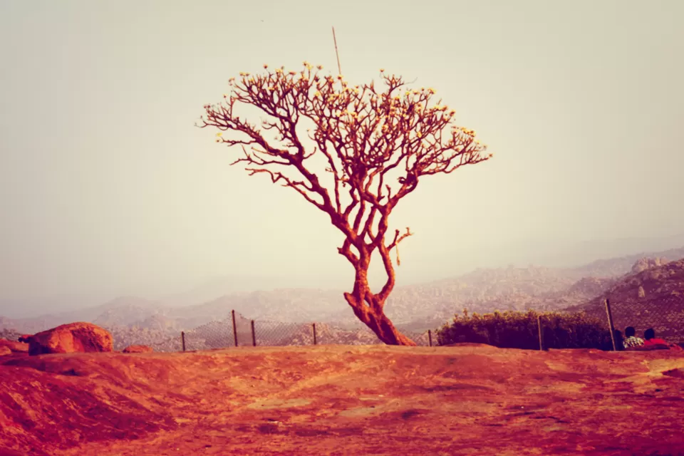 Photo of Hanuman Hill, Vidhya Vihar Colony, Dhule, Maharashtra, India by Rohan Ganesh