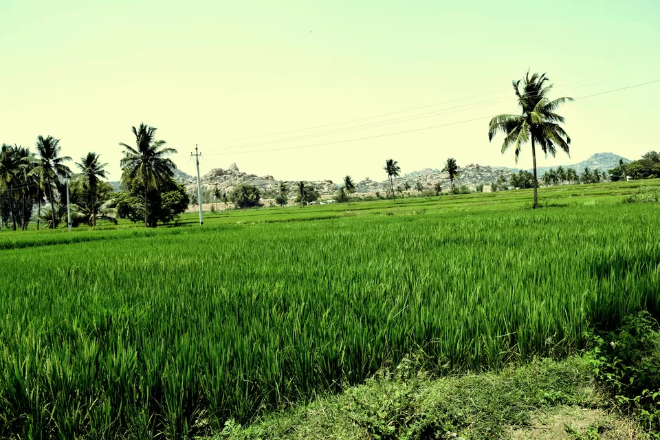 Photo of Anegundi, Karnataka, India by Rohan Ganesh