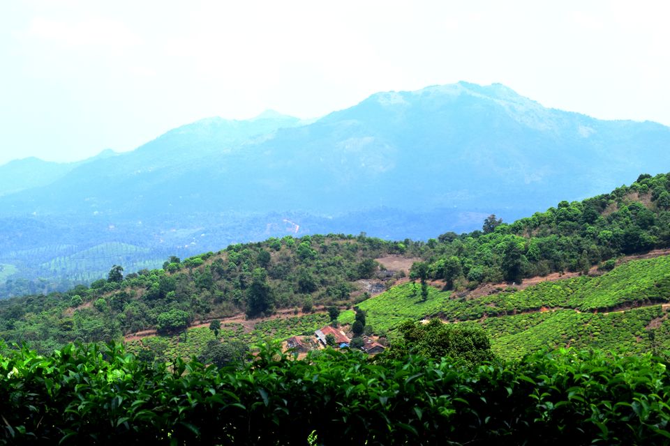 Photo of Backpacking Kerala: Beyond the backwaters by Rohan Ganesh