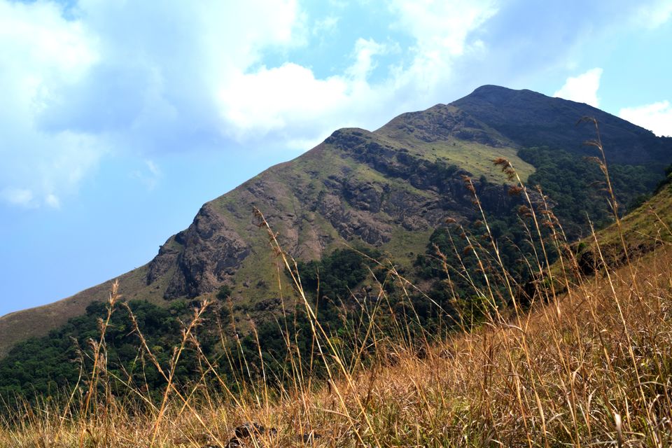 Photo of Backpacking Kerala: Beyond the backwaters by Rohan Ganesh