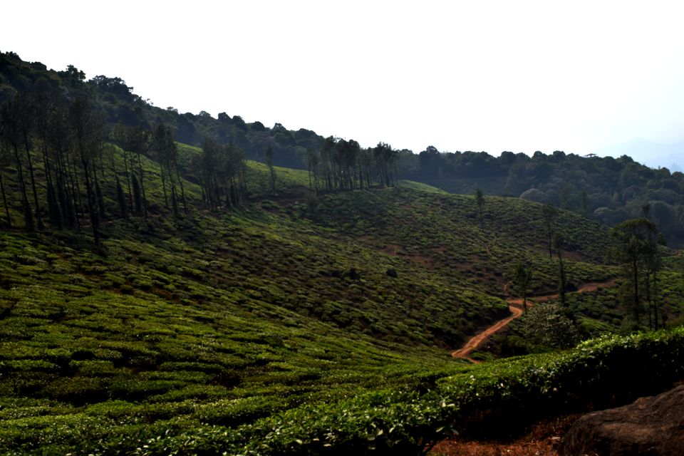 Photo of Backpacking Kerala: Beyond the backwaters by Rohan Ganesh