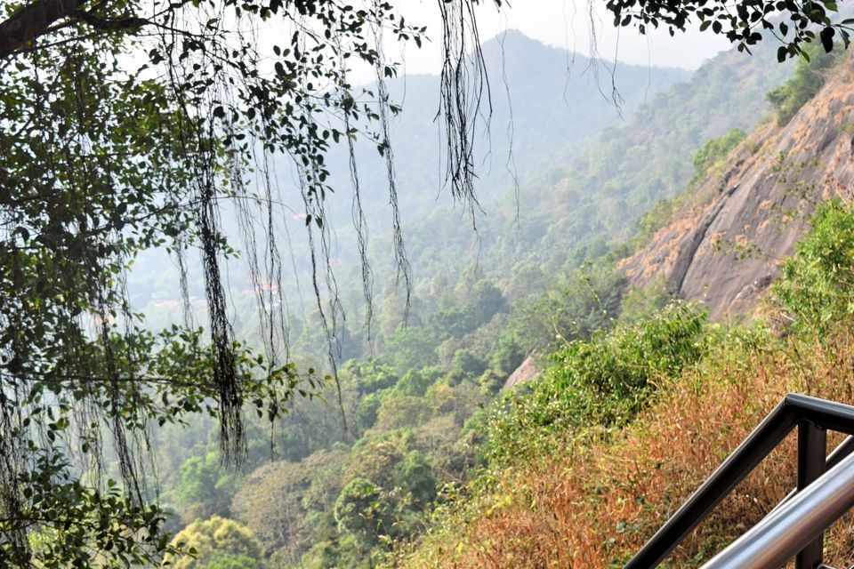 Photo of Backpacking Kerala: Beyond the backwaters by Rohan Ganesh