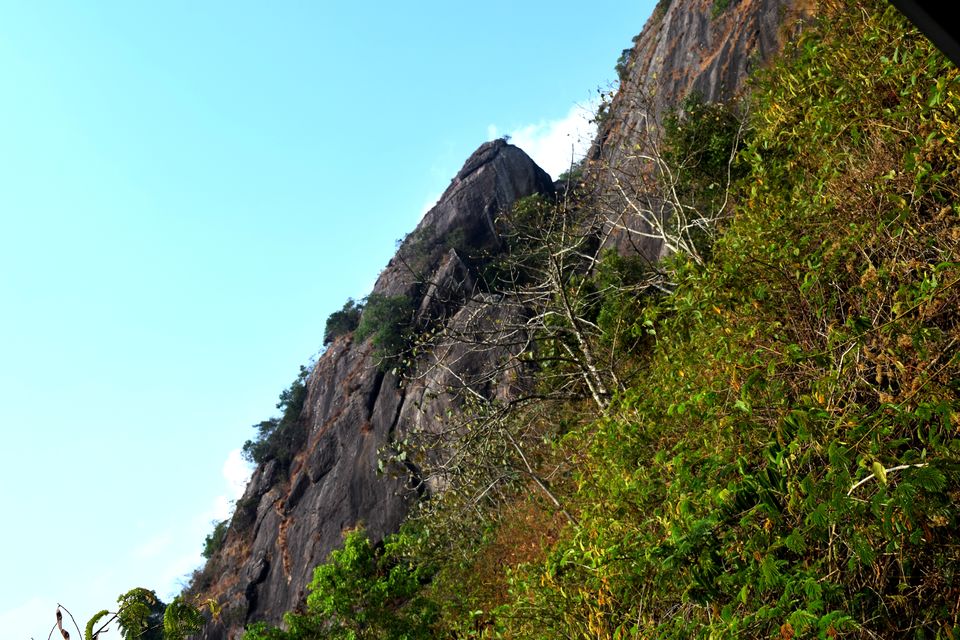 Photo of Backpacking Kerala: Beyond the backwaters by Rohan Ganesh