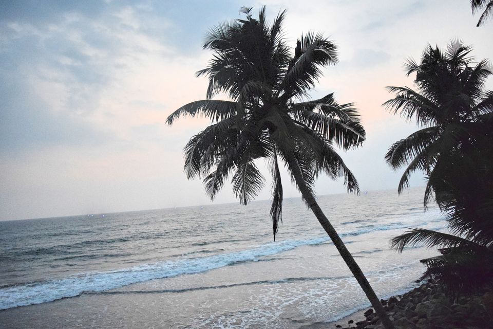 Photo of Backpacking Kerala: Beyond the backwaters by Rohan Ganesh