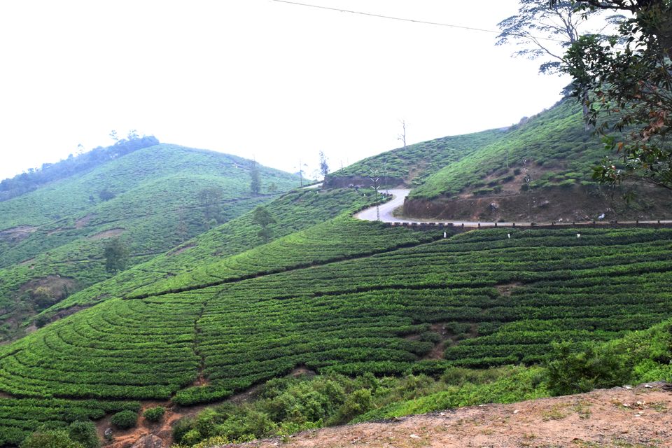 Photo of Backpacking Kerala: Beyond the backwaters by Rohan Ganesh