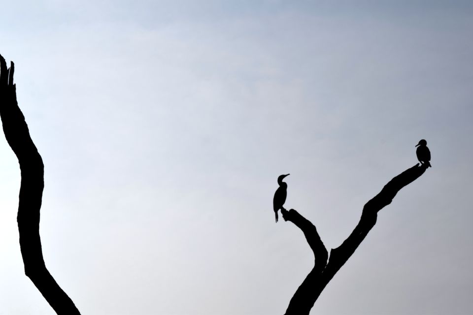 Photo of Backpacking Kerala: Beyond the backwaters by Rohan Ganesh