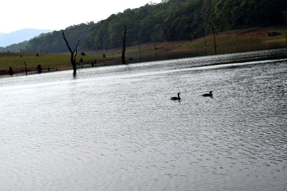 Photo of Backpacking Kerala: Beyond the backwaters by Rohan Ganesh