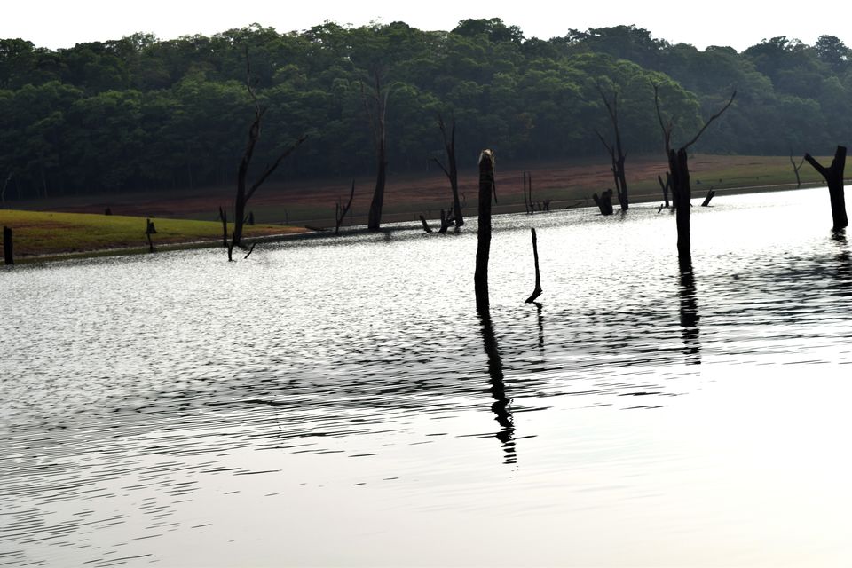 Photo of Backpacking Kerala: Beyond the backwaters by Rohan Ganesh