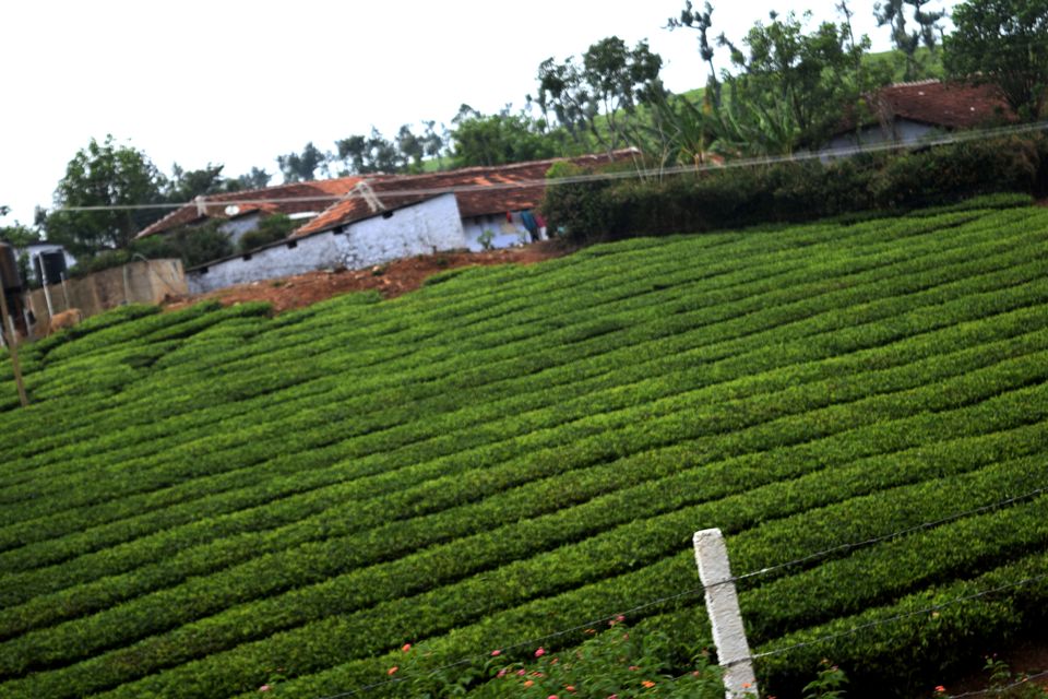 Photo of Backpacking Kerala: Beyond the backwaters by Rohan Ganesh