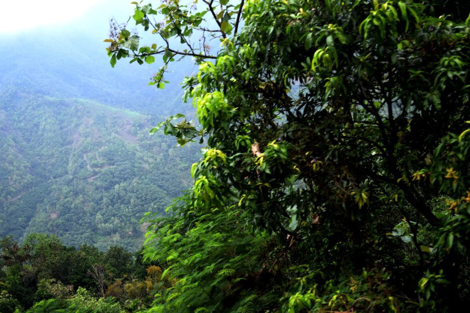 Photo of Backpacking Kerala: Beyond the backwaters by Rohan Ganesh