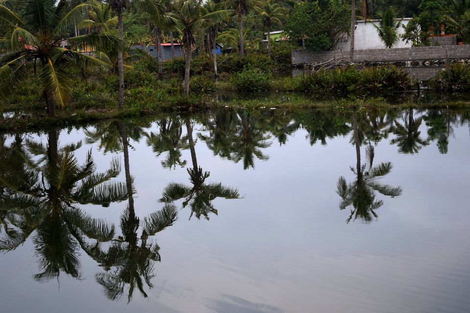 Photo of Backpacking Kerala: Beyond the backwaters by Rohan Ganesh