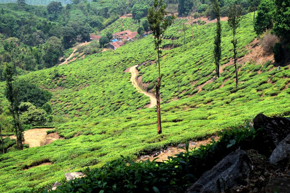 Photo of Backpacking Kerala: Beyond the backwaters by Rohan Ganesh