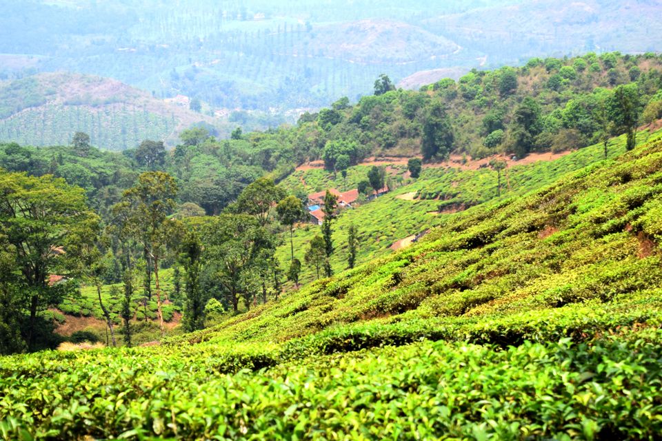 Photo of Backpacking Kerala: Beyond the backwaters by Rohan Ganesh
