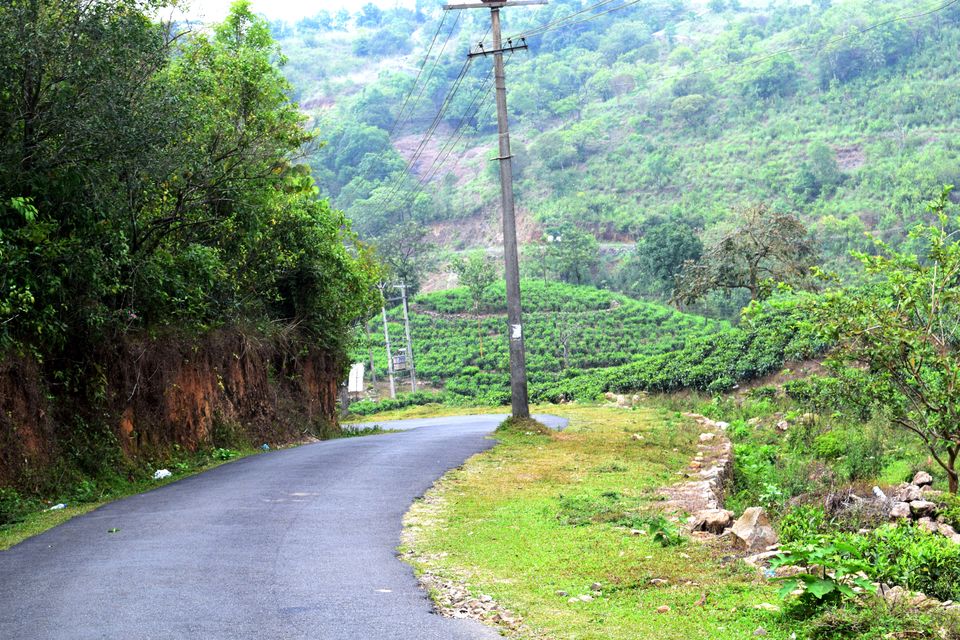 Photo of Backpacking Kerala: Beyond the backwaters by Rohan Ganesh