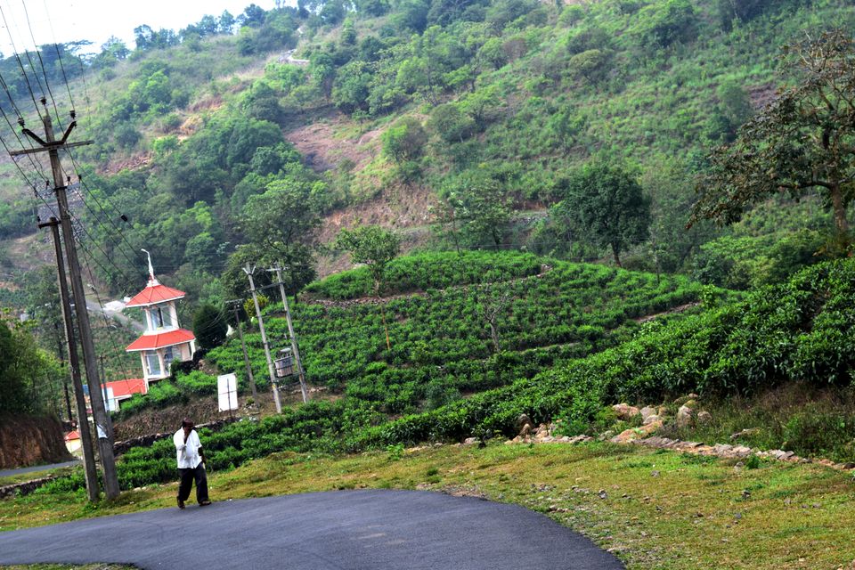 Photo of Backpacking Kerala: Beyond the backwaters by Rohan Ganesh