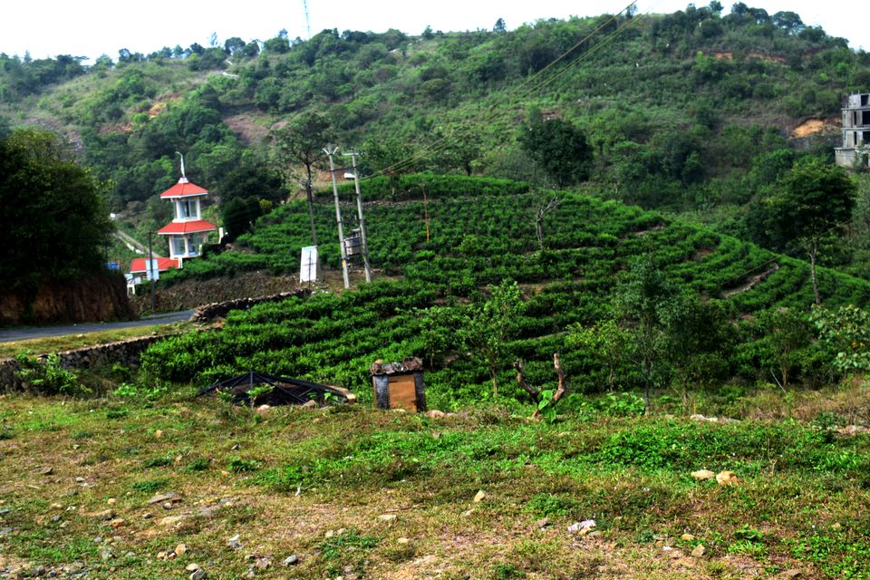 Photo of Backpacking Kerala: Beyond the backwaters by Rohan Ganesh