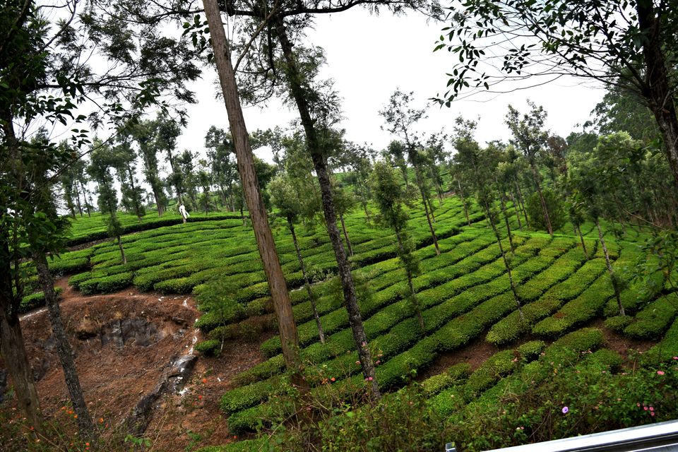 Photo of Backpacking Kerala: Beyond the backwaters by Rohan Ganesh