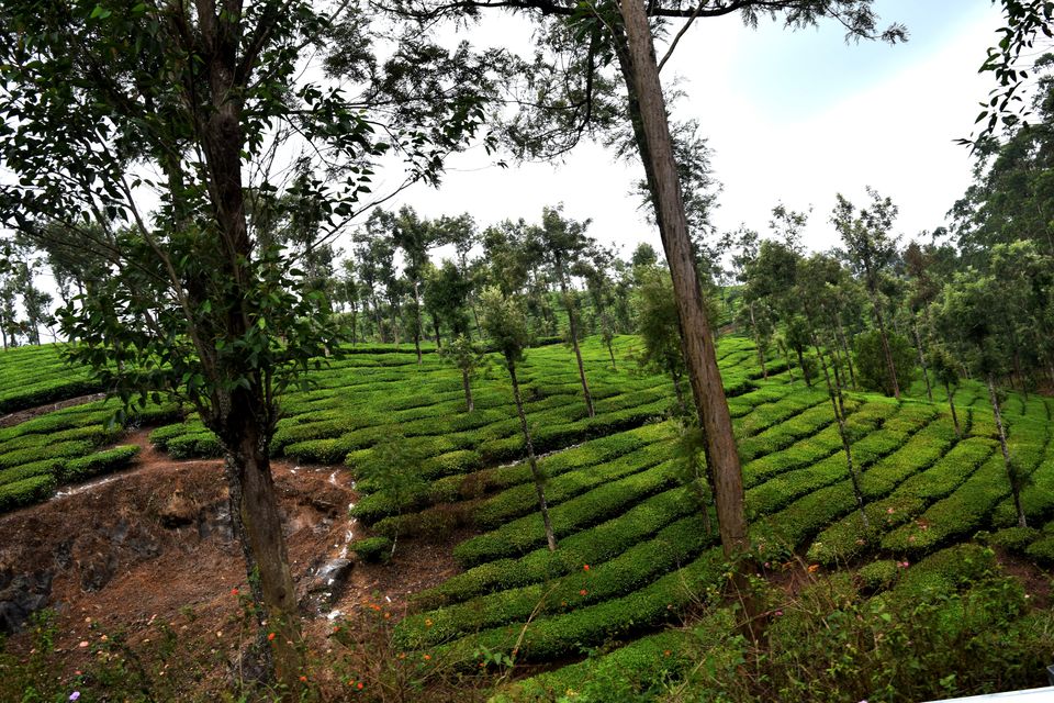 Photo of Backpacking Kerala: Beyond the backwaters by Rohan Ganesh