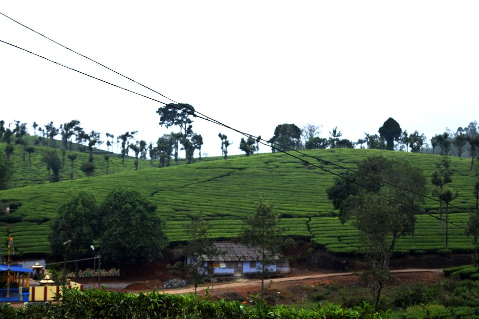 Photo of Backpacking Kerala: Beyond the backwaters by Rohan Ganesh