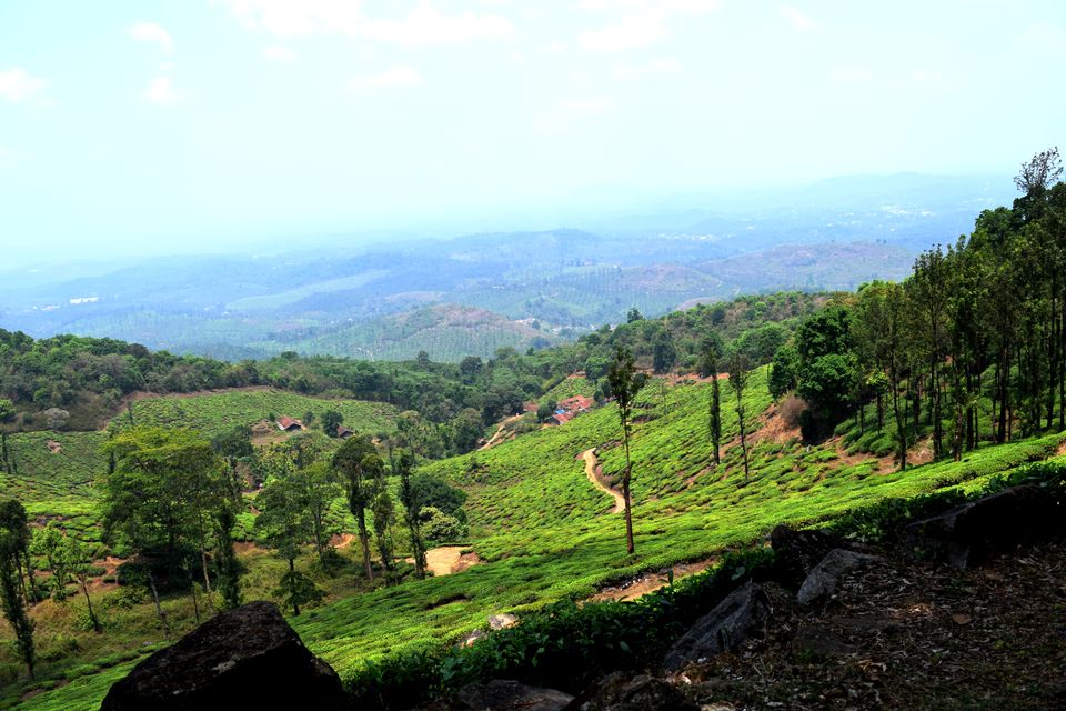 Photo of Backpacking Kerala: Beyond the backwaters by Rohan Ganesh
