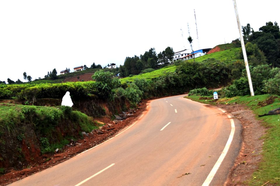 Photo of To Nilgiris and Beyond: The short Ooty stop 1/31 by Rohan Ganesh