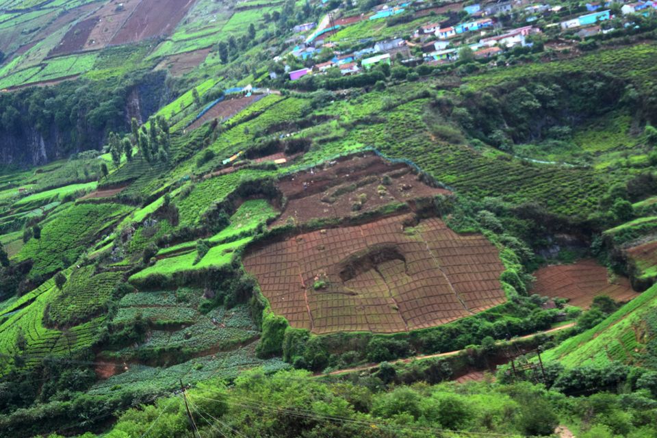 Photo of To Nilgiris and Beyond: The short Ooty stop 2/31 by Rohan Ganesh