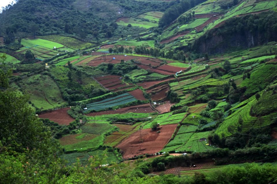 Photo of To Nilgiris and Beyond: The short Ooty stop 3/31 by Rohan Ganesh