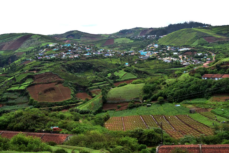 Photo of To Nilgiris and Beyond: The short Ooty stop 4/31 by Rohan Ganesh
