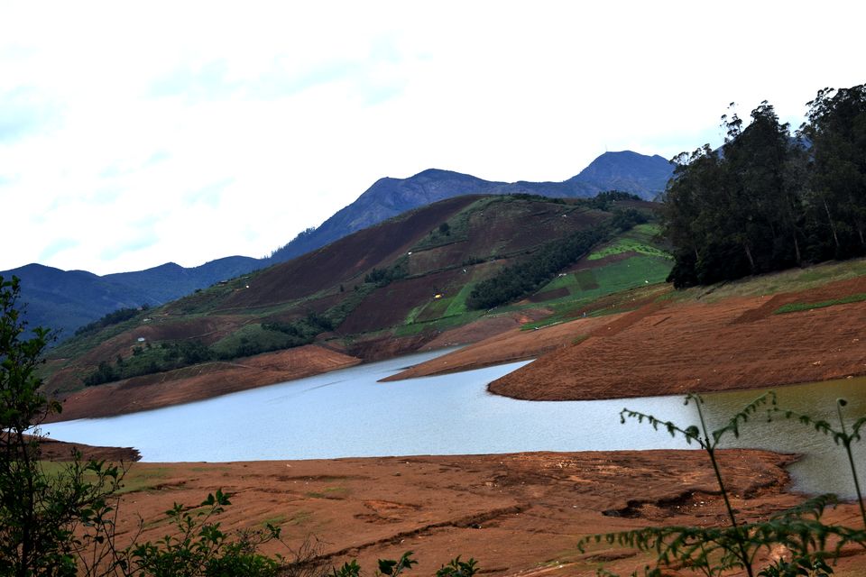 Photo of To Nilgiris and Beyond: The short Ooty stop 5/31 by Rohan Ganesh