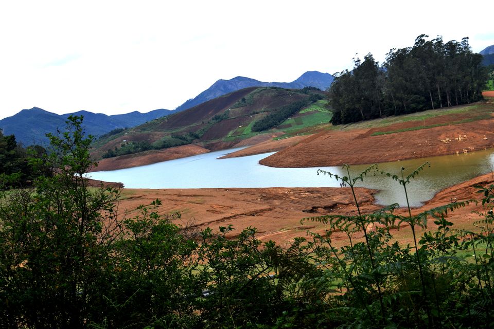 Photo of To Nilgiris and Beyond: The short Ooty stop 6/31 by Rohan Ganesh
