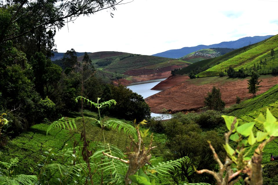 Photo of To Nilgiris and Beyond: The short Ooty stop 7/31 by Rohan Ganesh